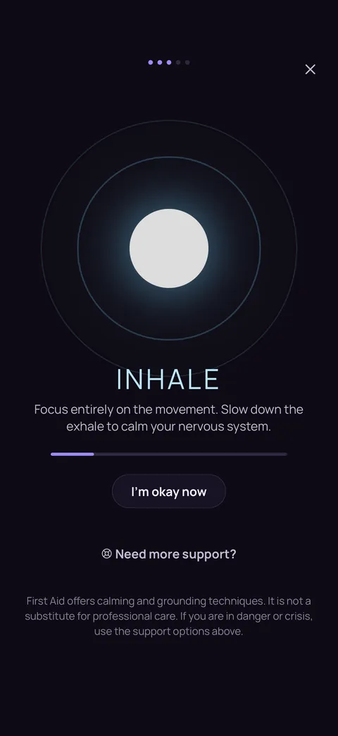 The First Aid breath orb on a dark screen with the word INHALE and the note that First Aid is not a substitute for professional care.
